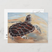 Head's Up Turtleはがき ポストカード (正面/裏面)