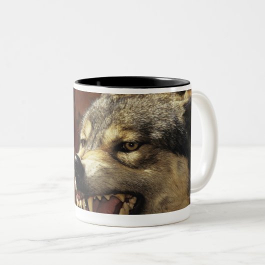 、headshotうなっている、オオカミ(イヌ属ループス)と ツートーンマグカップ (正面右)