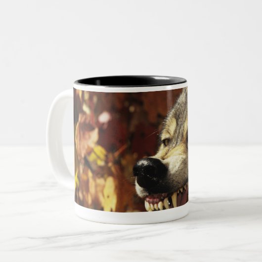 、headshotうなっている、オオカミ(イヌ属ループス)と ツートーンマグカップ (正面左)