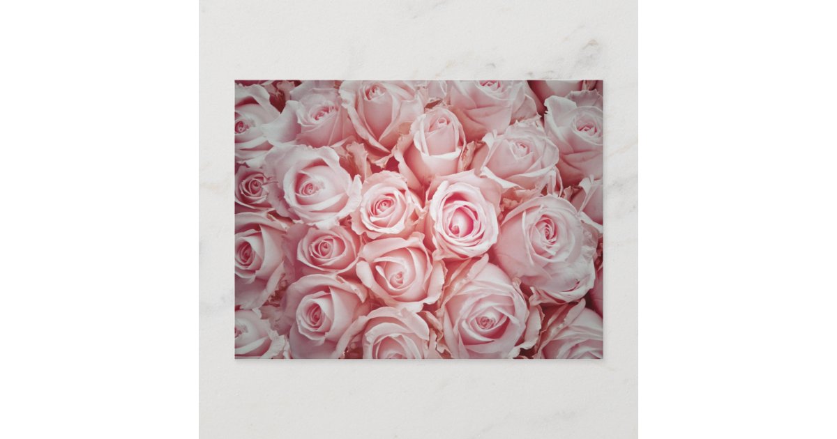Healingloveによる淡いピンクのバラの背景の愛 ポストカード Zazzle Co Jp Healingloveによる淡いピンクのバラの背景の愛 ポストカード Zazzle Co Jp