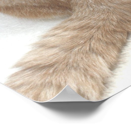 Health Insurance ポスター (角)