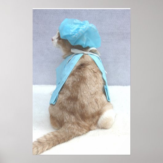 Health Insurance ポスター (正面)