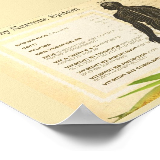 Healthy Nervous System ポスター (角)