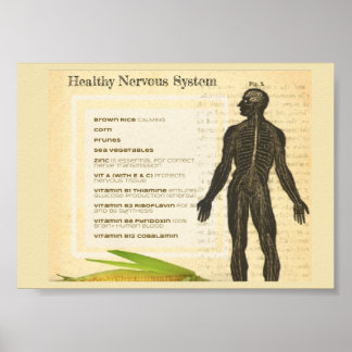 Healthy Nervous System ポスター