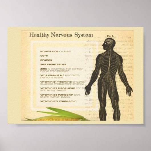 Healthy Nervous System ポスター (正面)