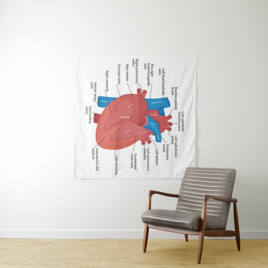 Heart anatomy  タペストリー (インサイチュ(横))