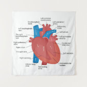 Heart anatomy  タペストリー (正面)