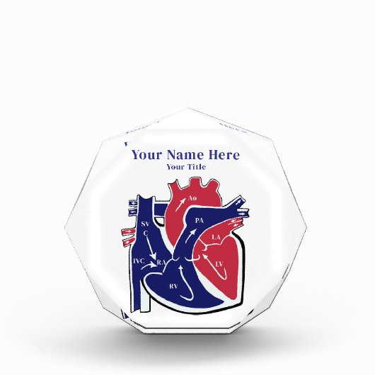 Heart Anatomy- フォトブロック (正面)