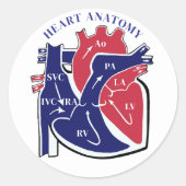 Heart Anatomy- ラウンドシール (正面)