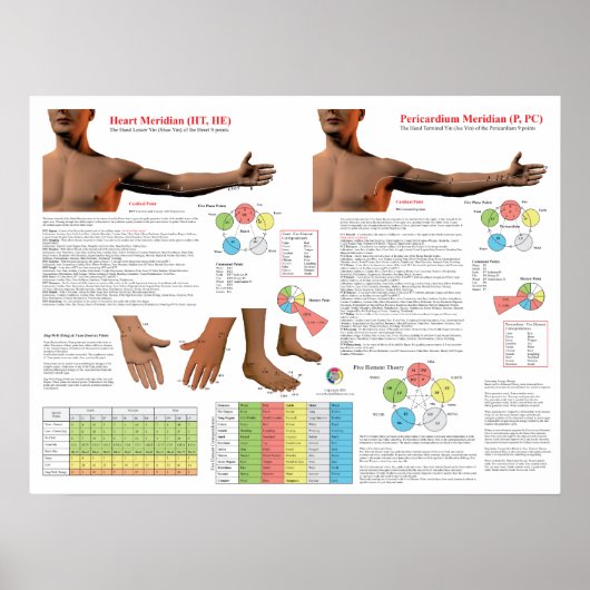 Heart Meridian Acupuncture Points ポスター (正面)