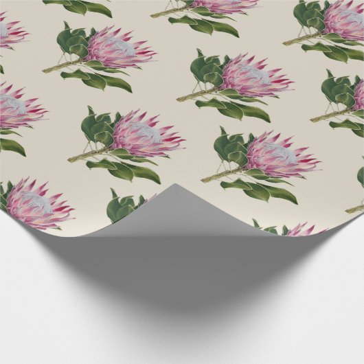 Heart of Gondwana, sandstone Wrapping Paper Design ラッピングペーパー (角)