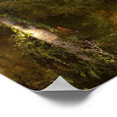 Heart of the Andes 1859 Poster ポスター (角)