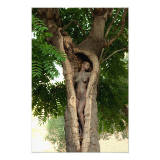 Heart of the Tree by Johannes Stötter フォトプリント