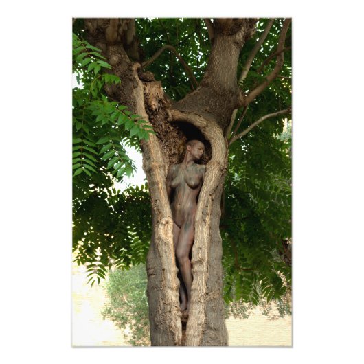 Heart of the Tree by Johannes Stötter フォトプリント (正面)