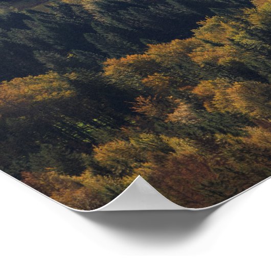 Heart shape in a forest in Slovenia ポスター (角)