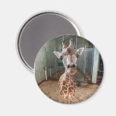 Heartbreaker Magnet マグネット (正面/裏面)