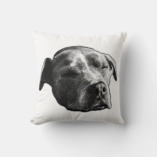 Hearth Whisper クッション (正面)