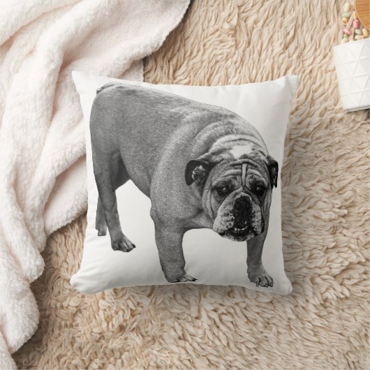 Hearthside Bulldog Pillow クッション (ブランケット)