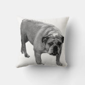 Hearthside Bulldog Pillow クッション (裏面)