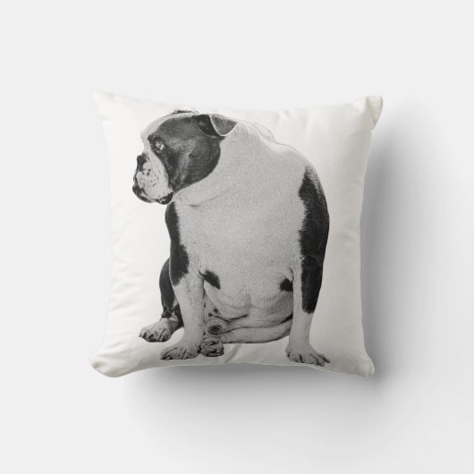 Hearthside Seated Accent クッション (正面)