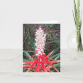 Hearts Of Flame Bromeliad Photo Folded Note Card ノートカード (正面)