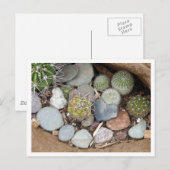 Heartstonesの郵便はがき ポストカード (正面/裏面)