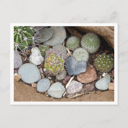 Heartstonesの郵便はがき ポストカード (正面)