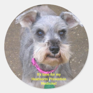 Heartworm Medicine Reminderスタンプ ラウンドシール