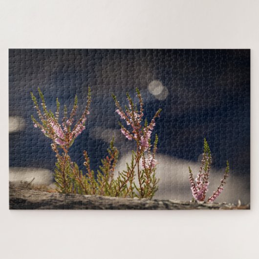 Heather自然写真 ジグソーパズル (横)