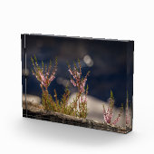 Heather自然写真 フォトブロック (右)