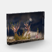 Heather自然写真 フォトブロック (左)