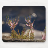 Heather自然写真 マウスパッド (正面)