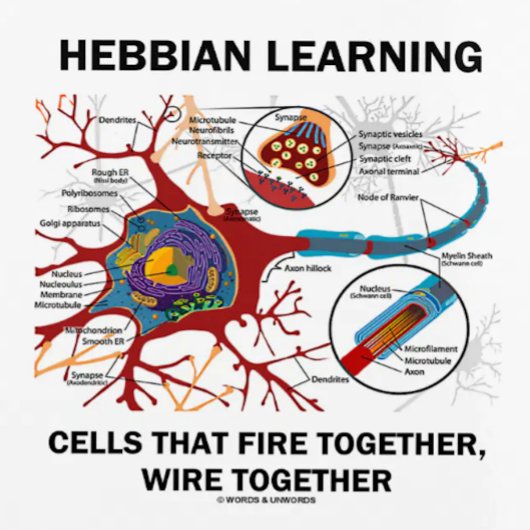 Hebbianの学細胞は一緒にワイヤーで燃える プランナー手帳