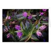 Hebe Mauveフィンガーカード (正面横)