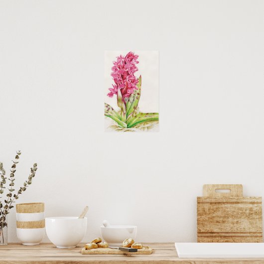 Hebrideaui orchid: Dactylorhza majalis ポスター (キッチン)