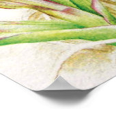 Hebrideaui orchid: Dactylorhza majalis ポスター (角)