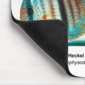 Heckel Blue Discus マウスパッド (コーナー)