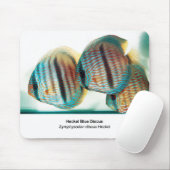 Heckel Blue Discus マウスパッド (マウス)