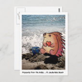 hEDGEからのポストカード！ ポストカード (正面/裏面)