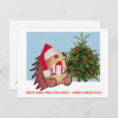 HEdgeのポストカード シーズンポストカード (正面/裏面)