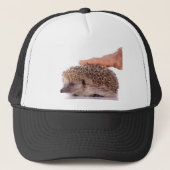 Hedgehog, キャップ (正面)