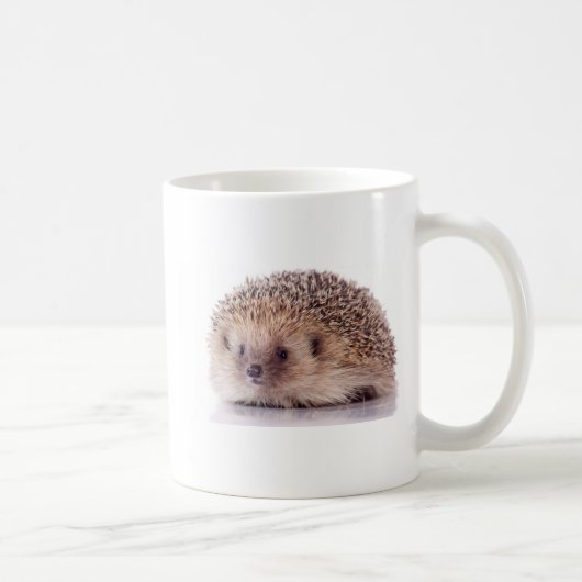 Hedgehog, コーヒーマグカップ (右)