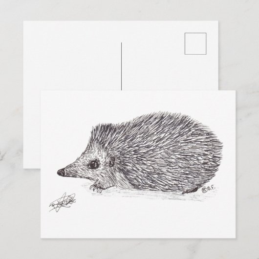 HEDGEHOG シーズンポストカード (正面/裏面)