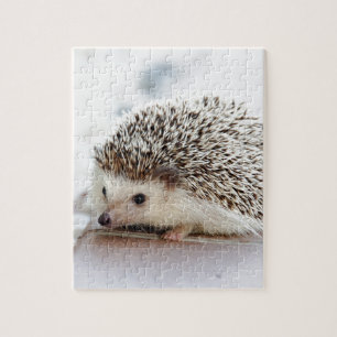 Hedgehog ジグソーパズル