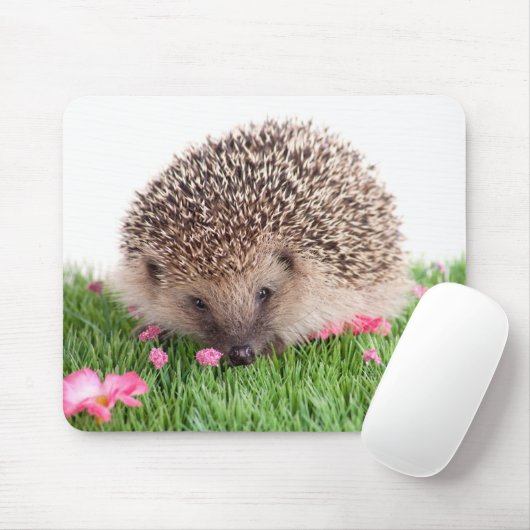 hedgehog, マウスパッド (マウス)