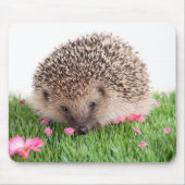 hedgehog, マウスパッド (正面)