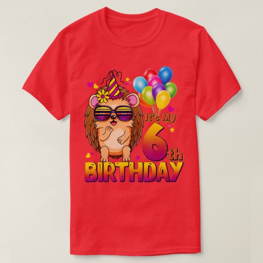 Hedgehog 6th Birthday Shirt 6 Years Old Hedgehog B Tシャツ (デザイン正面)