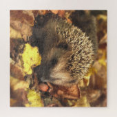 Hedgehog In Autumn ジグソーパズル (横)