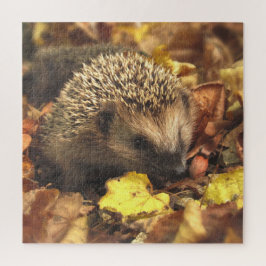 Hedgehog In Autumn ジグソーパズル