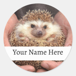 Hedgehog in Hands写真 ラウンドシール